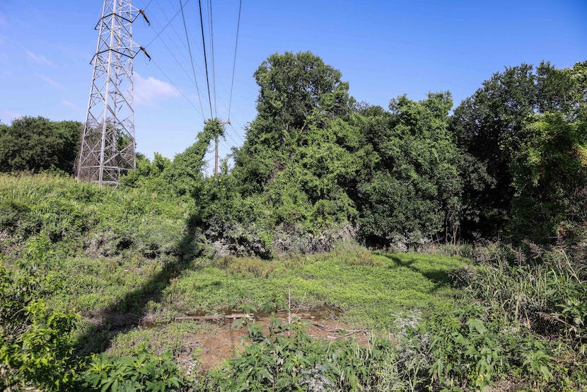 Looking south from Military Parkway, this portion of the 7.5-mile Trinity Forest Spine Trail...