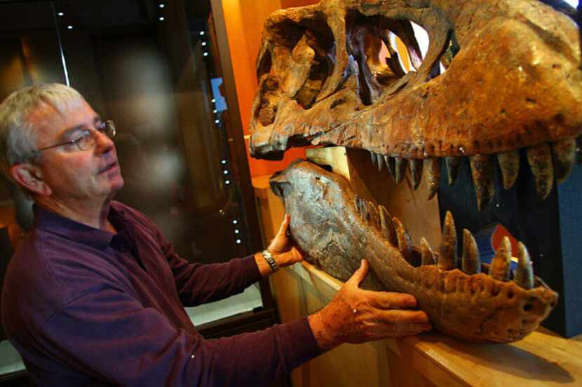 Rick Rolater with a Tyrannosaurus Bataar skull displayed in his Colorado gallery in 2007.