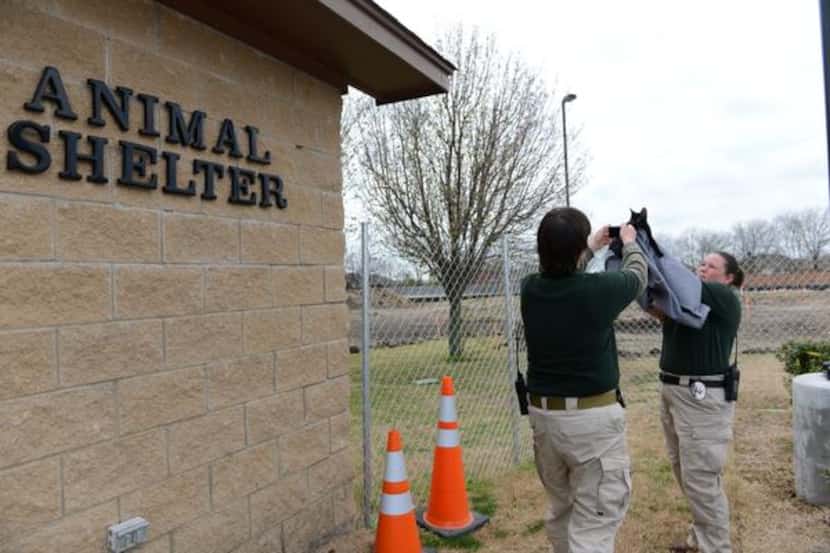 
Murphy animal control officers Tammy Drake (left) and Terra Dominguez take a photo of a...