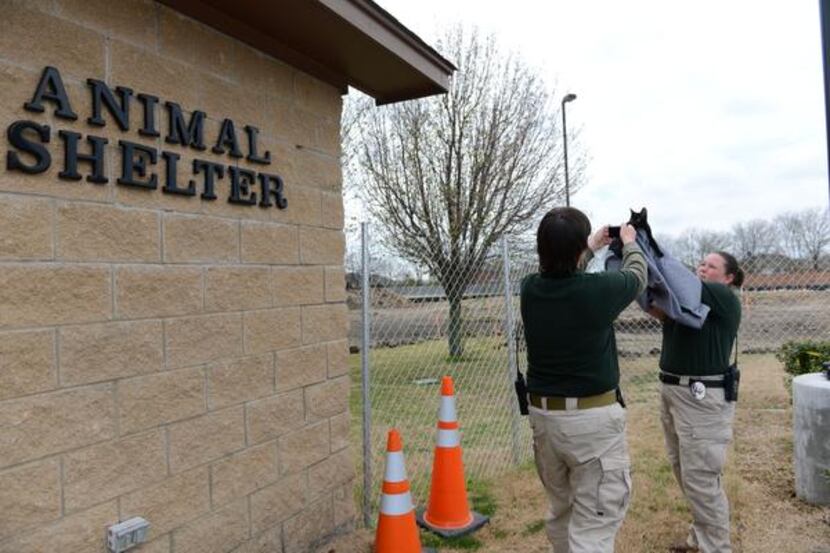 
Murphy animal control officers Tammy Drake (left) and Terra Dominguez take a photo of a...