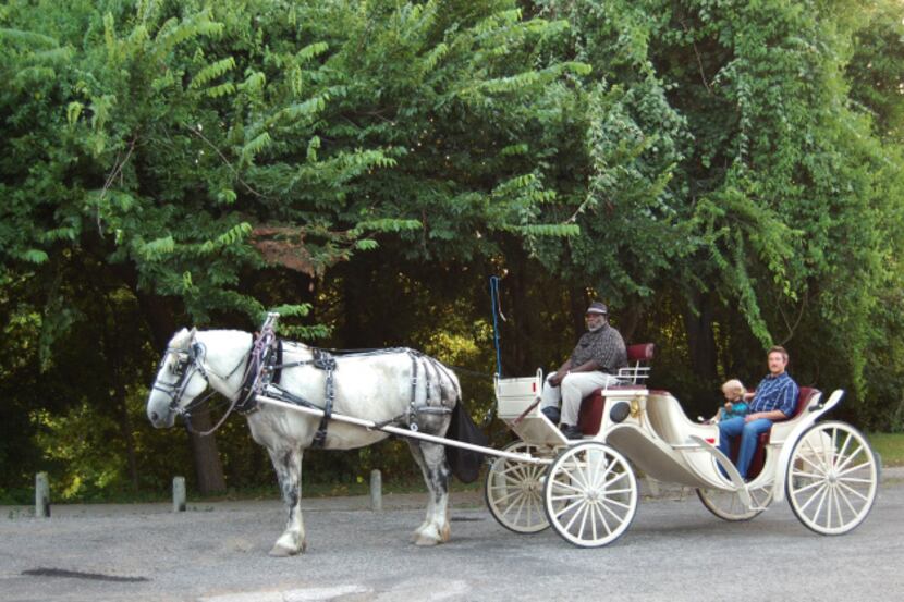 M&M Carriage Service owner Moses Moore offers carriage rides around Victoria, Texas's...