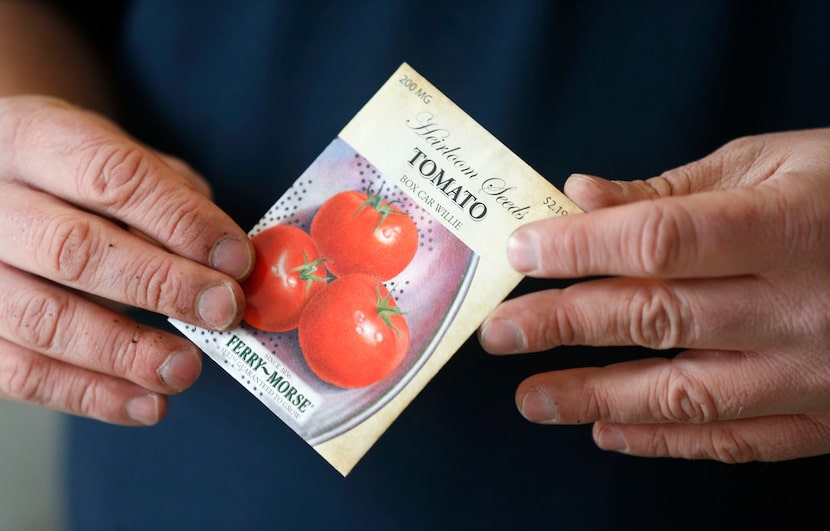 'Box Car Willie' is an heirloom tomato variety.