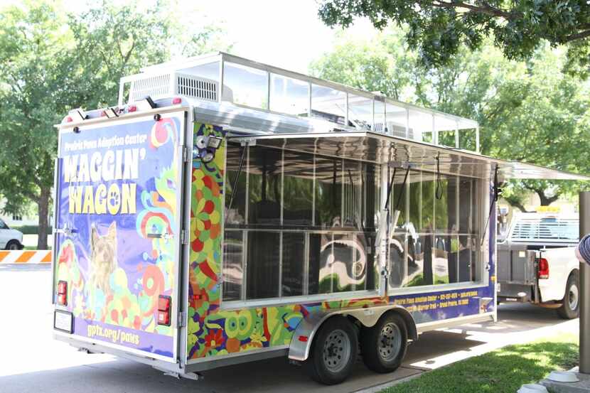 
The Waggin’ Wagon can carry up to 21 cats and dogs when it travels around Grand Prairie. 
