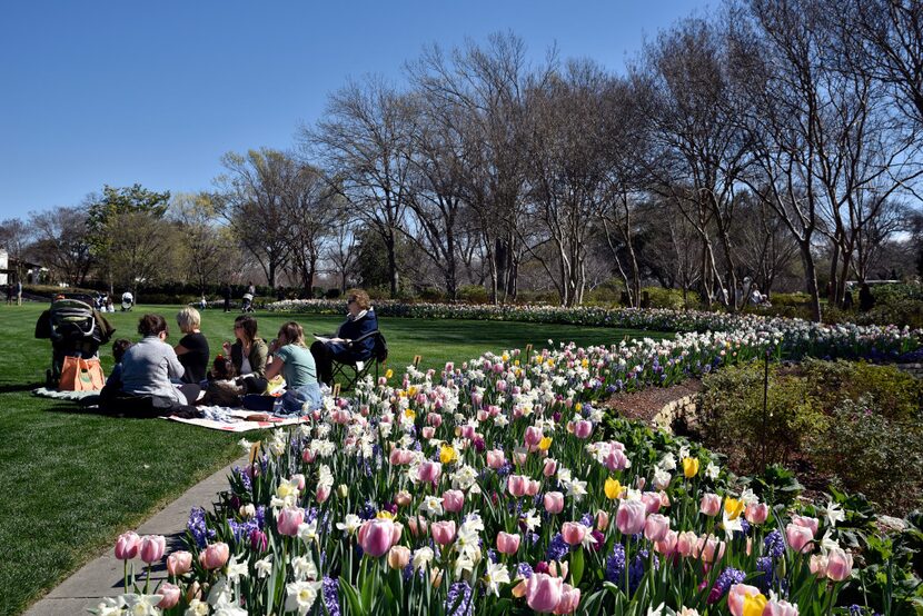 A family has a picnic along aside a bed of flowers containing foxglove, pansy, hyacinth,...