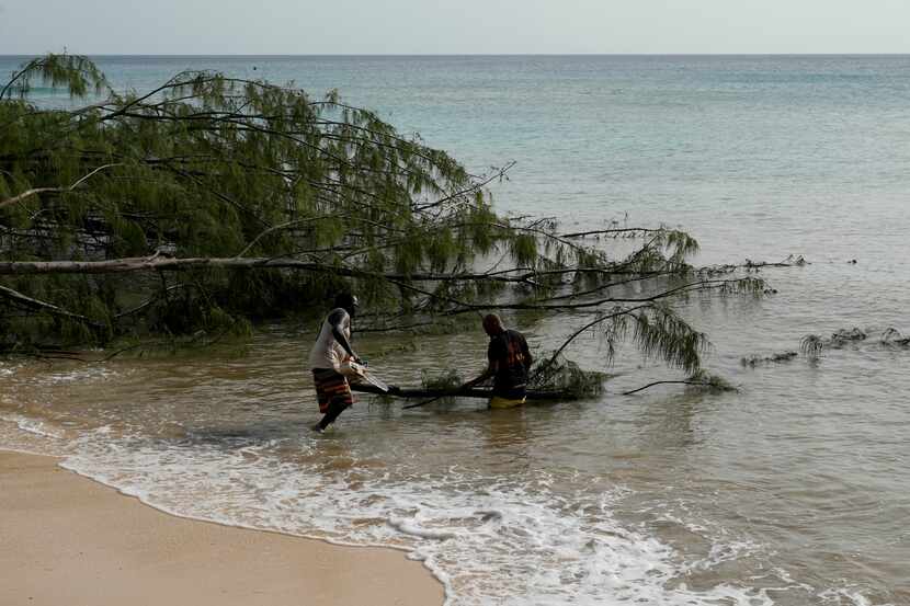 Workers chops a tree uprooted by Hurricane Beryl in St. James, Barbados, Tuesday, July 2,...