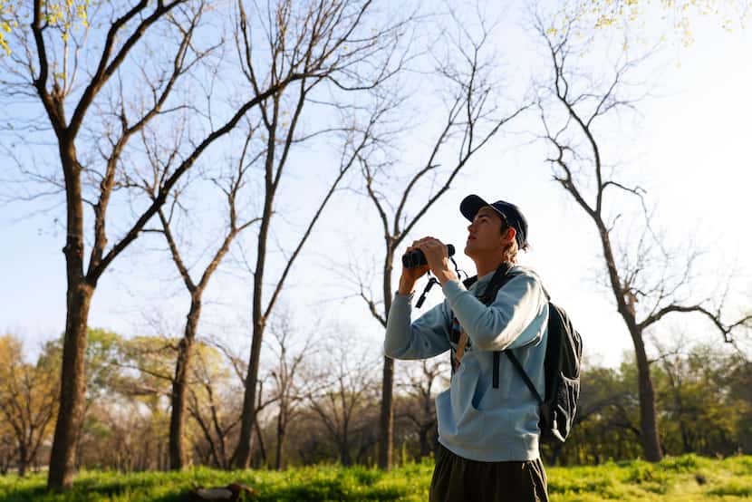 Birdwatcher Kalder Korte, looks up on the trees to spot birds at Harry S Moss Park, on...