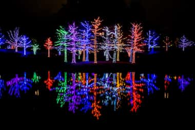 See the magic of the “Vitruvian Lights” from Nov. 18 to Jan. 1 at Vitruvian Park in Addison.