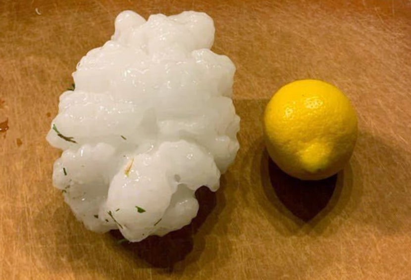 Gina Brown said this hailstone, about 5.5 inches, fell in her front yard in Salado on...