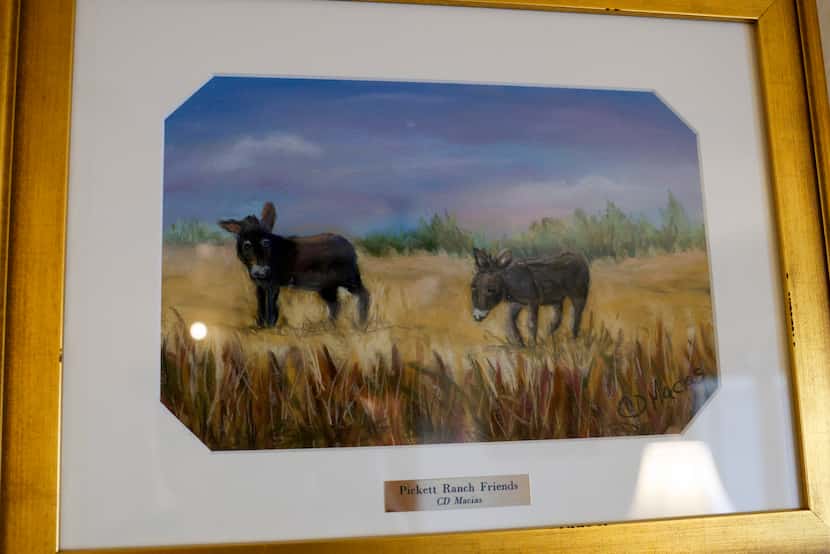 A painting of Sandye Killebrew’s pet donkeys Katie and Patty hangs on the wall of her home,...