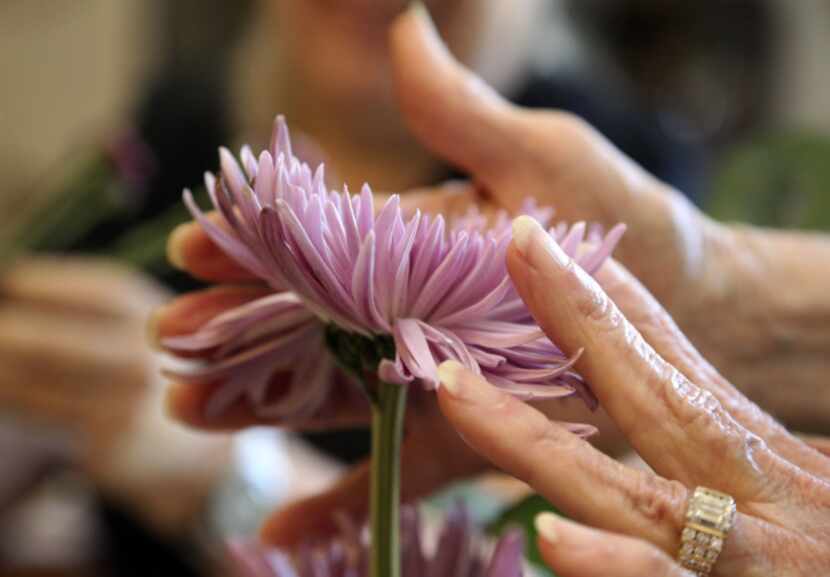 Members of the Ikebana International Dallas Chapter 13 arrange flowers Tuesday September...