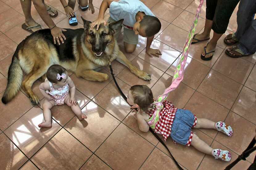  July 17, 2010--Young shoppers get acquainted with SecurityÂ dog "Ares" as they shop with...