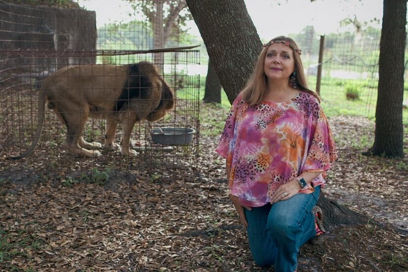 Big Cat Rescue Corp., a Florida group founded by Carole Baskin, was awarded ownership of the...