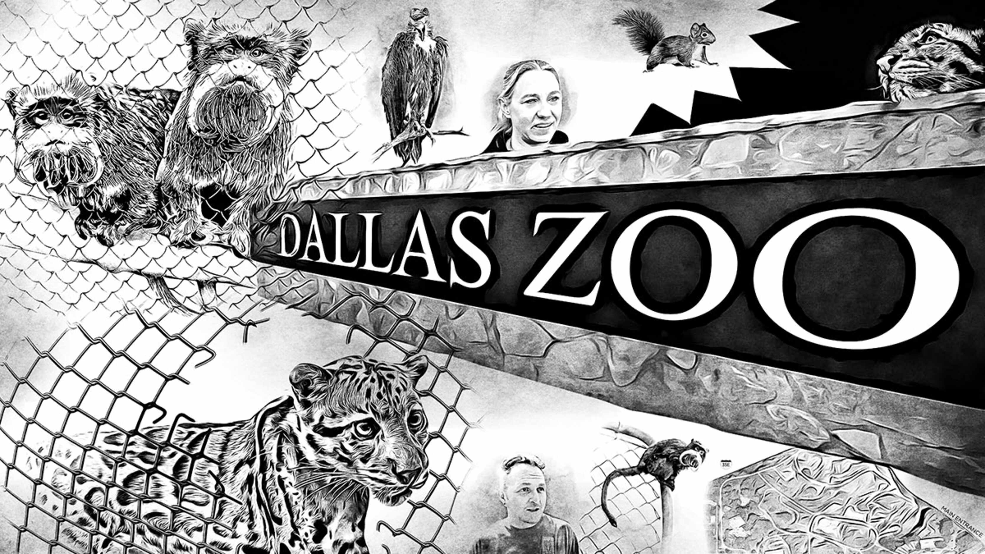 How the Dallas Zoo mystery unraveled