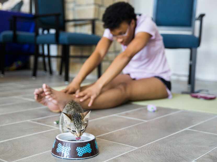 A kitten took a sip of water near Keeiona Burnett during a yoga class hosted by Attiva...