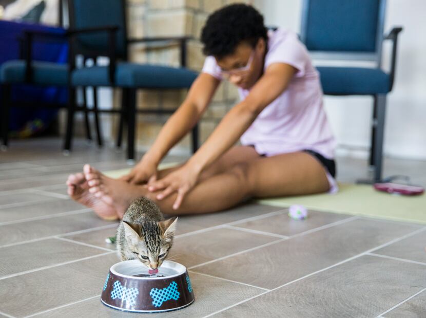 A kitten took a sip of water near Keeiona Burnett during a yoga class hosted by Attiva...