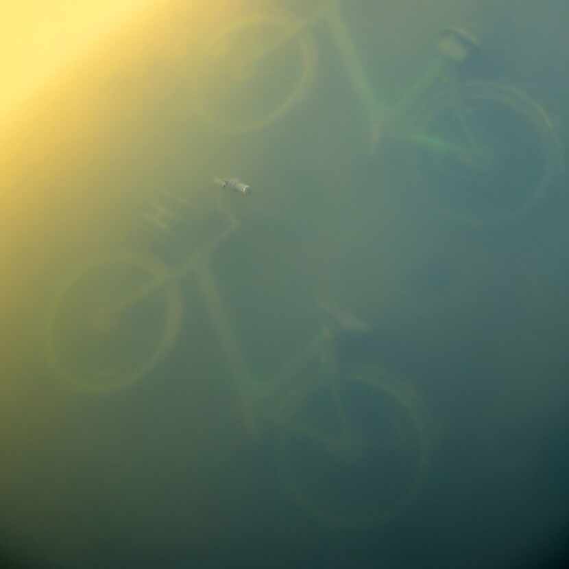 Two LimeBike rental bikes are submerged in White Rock Lake in Dallas on Jan. 5, 2018. 