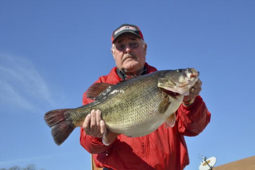 Richard Schibek caught this 16 pounder from Lake Fork on Feb. 2. It ties for 22nd place on...
