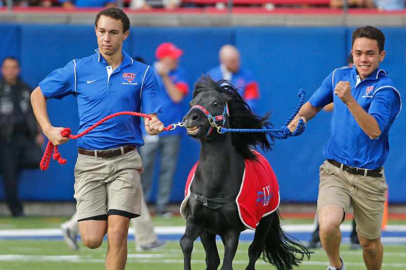SMU mascot Peruna runs across the field after a Mustangs touchdown during the University of...