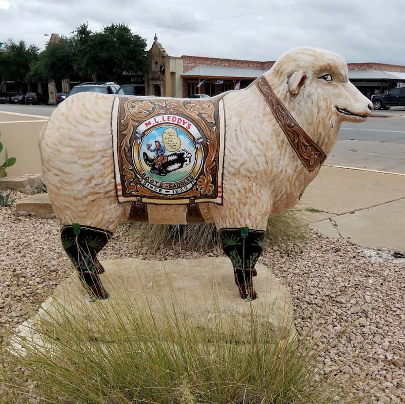 One of many fiberglass sheep stands next to M.L. Leddy's in San Angelo. The sheep, a...