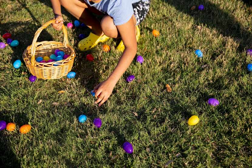 Kids look for eggs during the Egg'stravaganza Easter egg hunt in Dallas, TX.