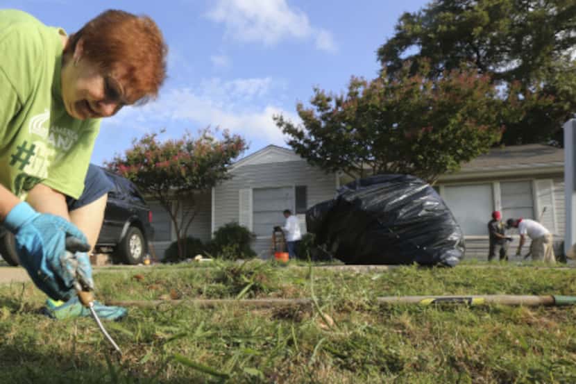 Glenna Brown dug up weeds in front of the Harmony House in Garland this month.  She is...