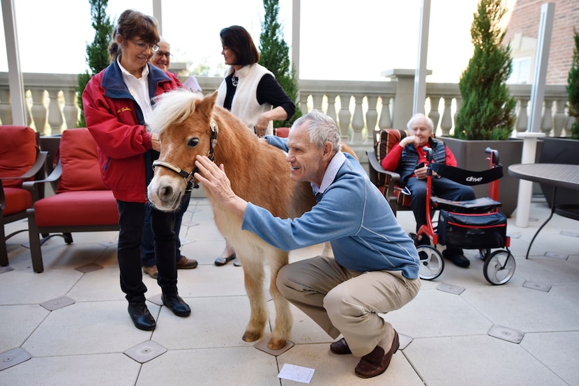 Claude Dollins, 79, said Dare reminded him of his childhood pet and his father, who worked...