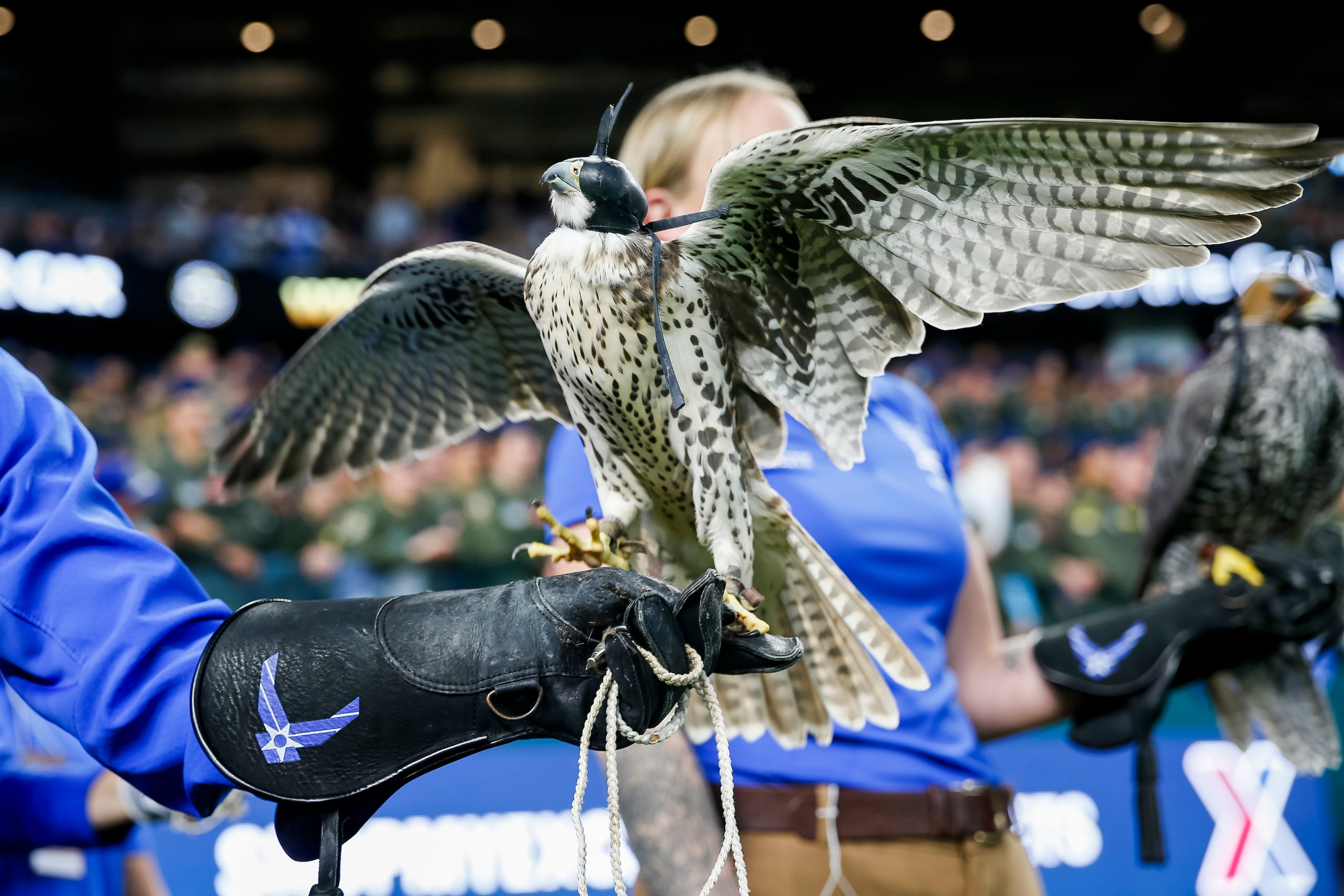 Air Force Falcons mascot during the fourth quarter of the 2021 Lockheed Martin Commanders’...