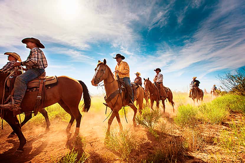  Waggoner Cowboys ride out into the pasture to round up cattle. The Waggoner Ranch, located...