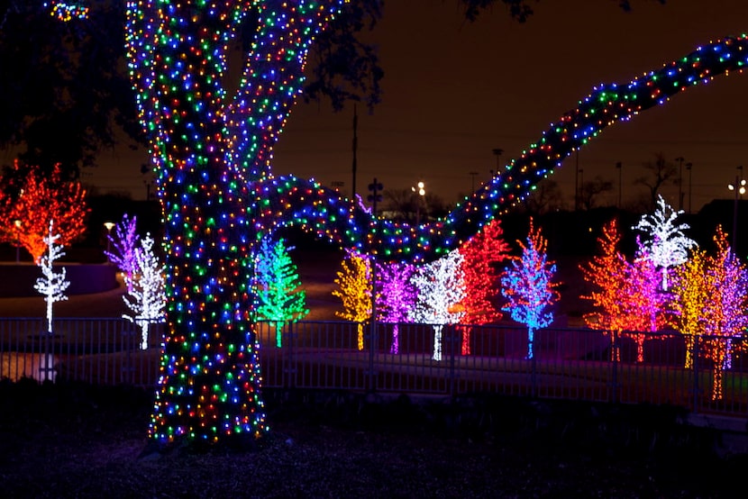 Vitruvian Lights en Addison/ ANN PINSON/DMN