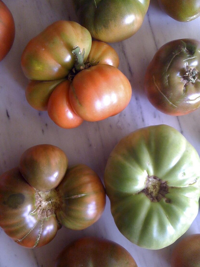 
Heirloom tomatoes may not produce the prettiest fruit, but you can bet they’ll be the most...