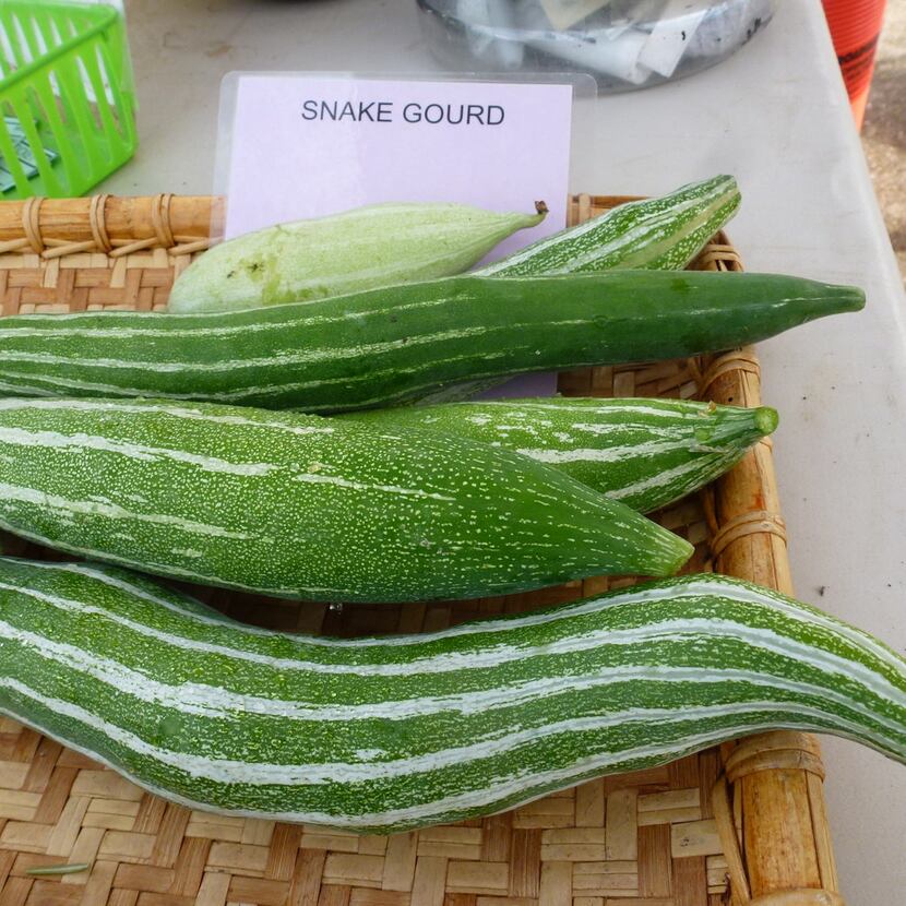 Among Gardeners in Community Development's more unusual offerings: snake gourds, which  you...