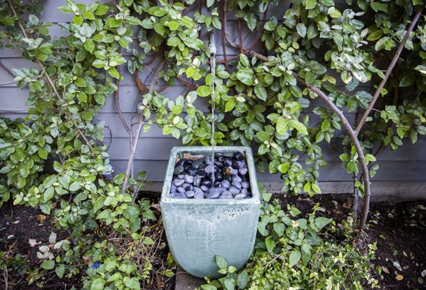 
A fountain in the back garden
