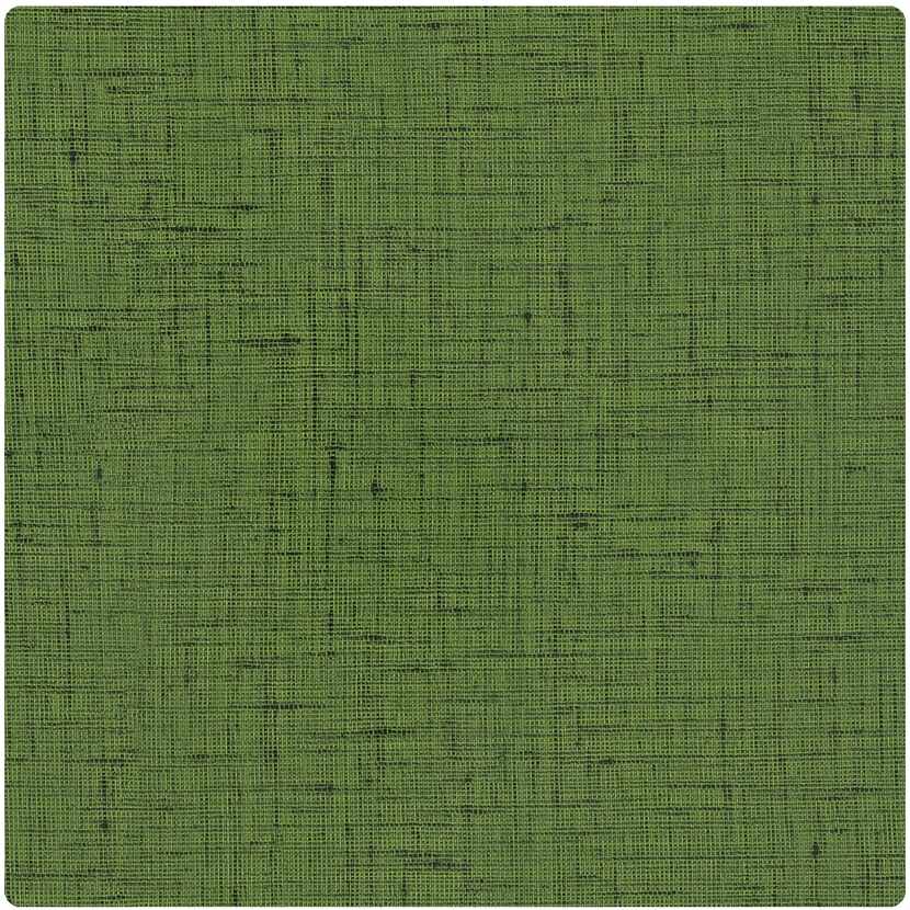 
Green Lacquered Linen 
