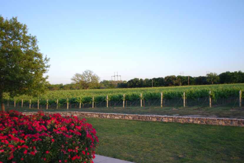 Located at the junction of the state's most acclaimed wine grape regions on Texas Highway 16...