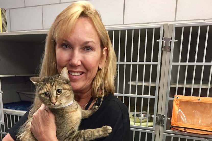 Cat Lady Molly DeVoss with Isabella in the cat adoption room at the Dallas animal shelter,...