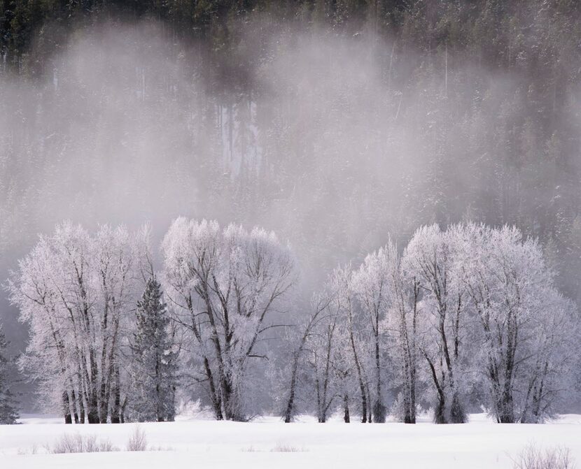 Scot Miller, Frozen landscape, February 2015, Grand Teton National Park    (Grand Teton...