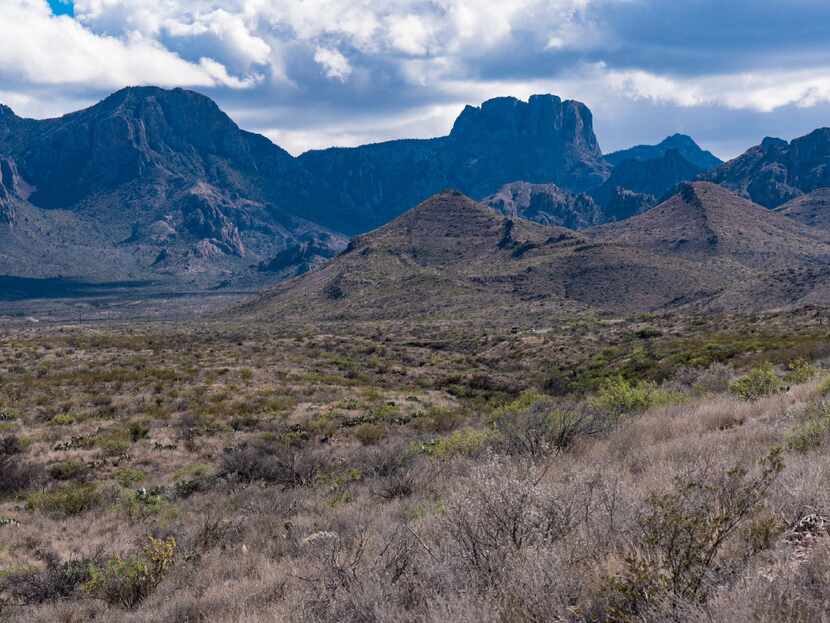 The Chisos Mountains rise from the Chihuahuan Desert floor at Big Bend National Park. 