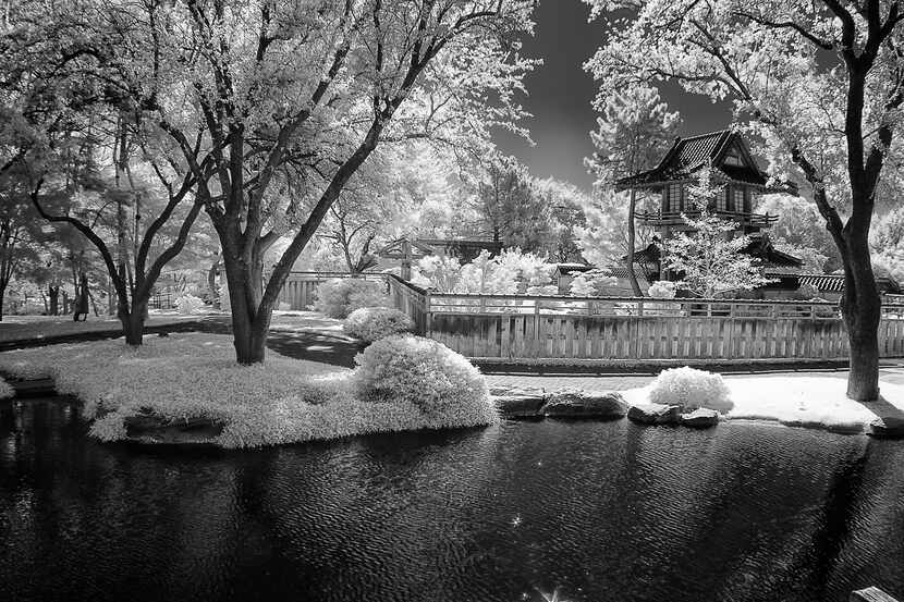 "The IR converted camera provides an almost other worldly vision" in Tony Morrison's shot of...