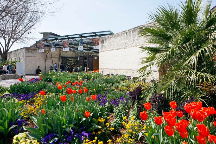 
The ticket entrance to the Dallas Arboretum is planted with a melange of bold-hued spring...