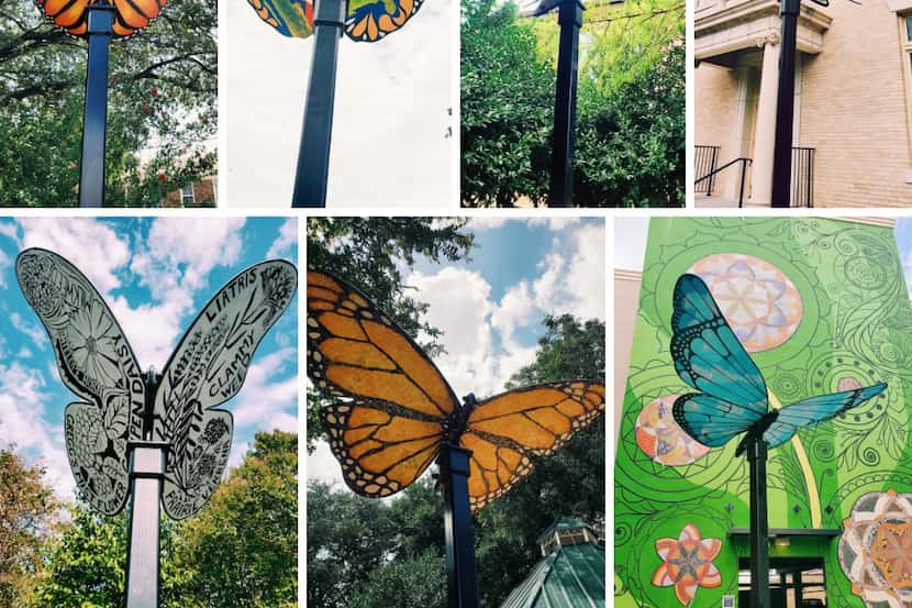 A new public art installation featuring eight steel butterfly sculptures is on view in...