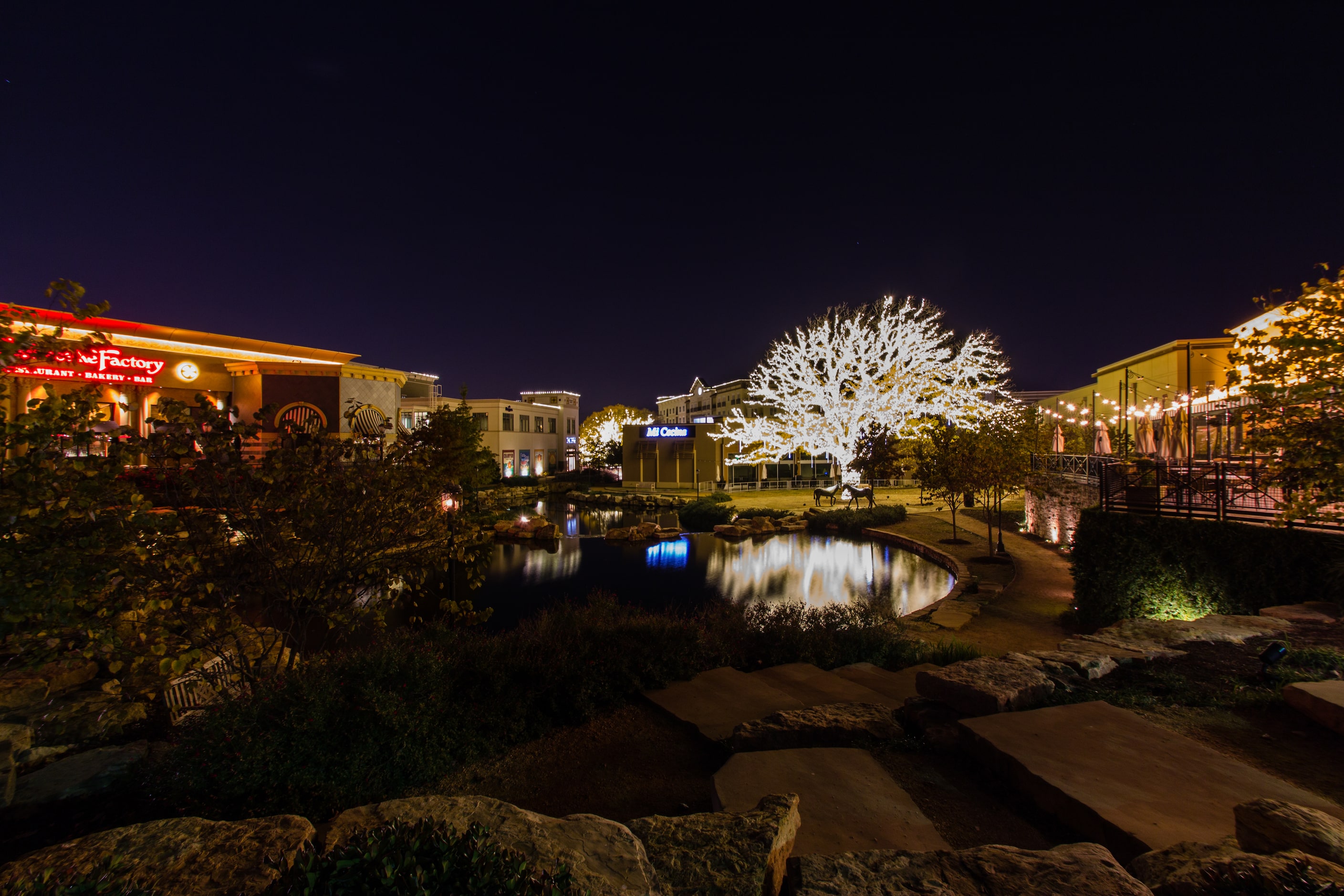 "Christmas in Allen" by Bobby Lajoie shows how Watters Creeks in Allen rings in the holiday. 