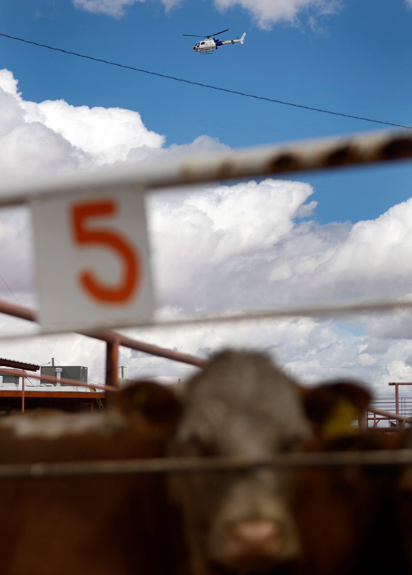 A U.S. Customs and Border Protection helicopter passes over the Santa Teresa International...