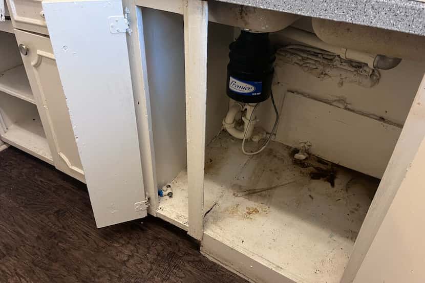 Water leaks created mold under a kitchen sink in a rental apartment in the Bachman Lake...