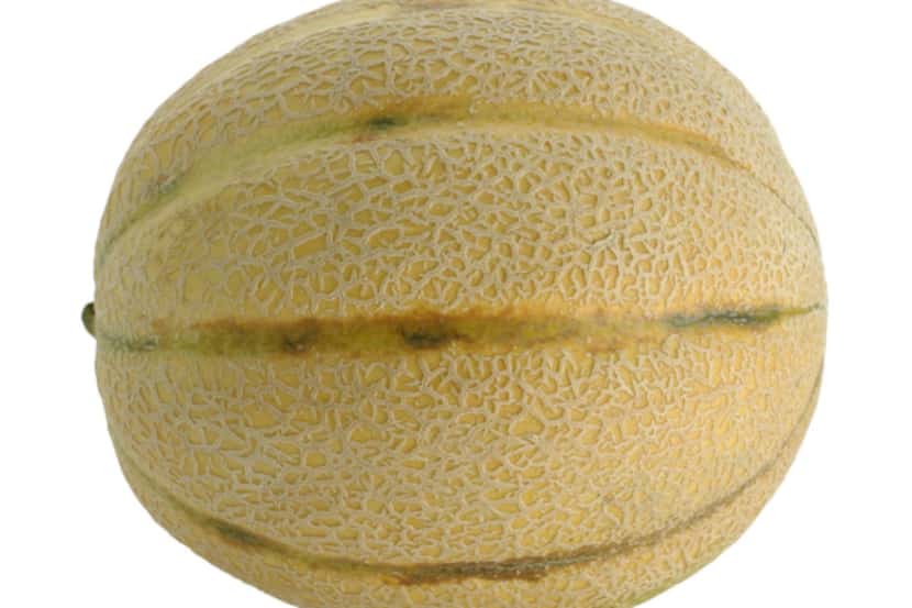 Cantaloupes, believe it or not, soon will be hitting supermarkets.