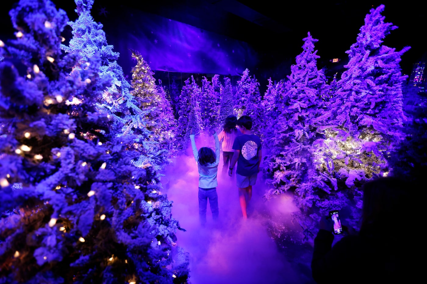 June Wozny of Dallas (left) and her brother Levi and sister Willa walk through a snow...