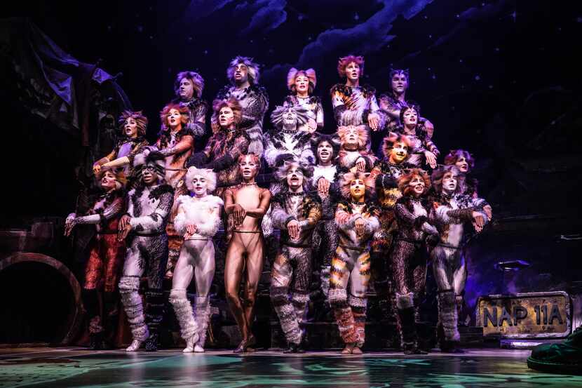 The cast of the North American tour of "Cats."