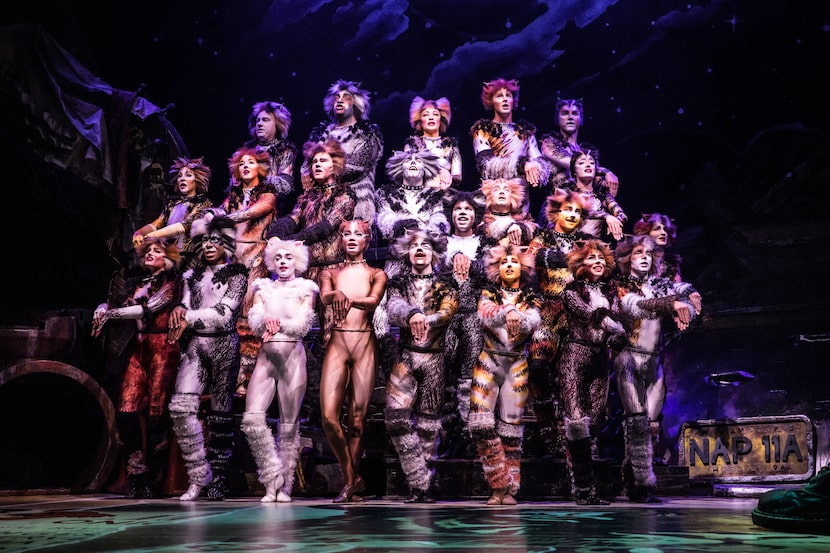 The cast of the North American tour of "Cats."