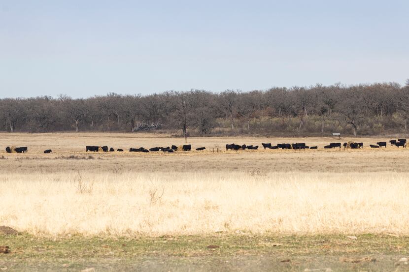 Ranch sales are picking up across Texas, and a Dallas firm is getting further in on the action.