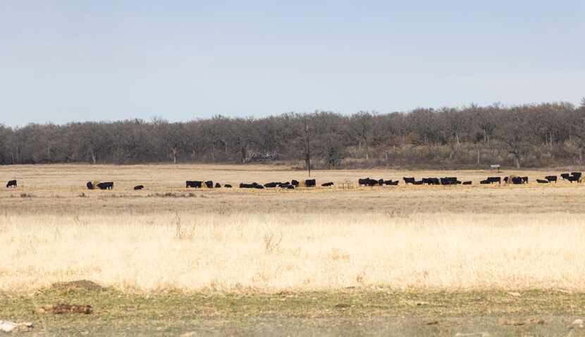 Hunter Ranch, a 3,200-acre housing community planned off Interstate 35W, includes the...