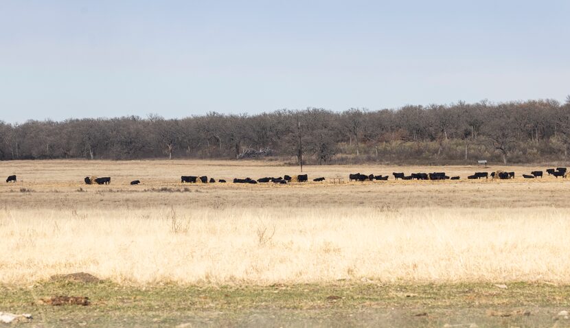 Hunter Ranch, a 3,200-acre housing community planned off Interstate 35W, includes the...